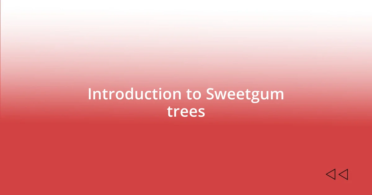 Introduction to Sweetgum trees