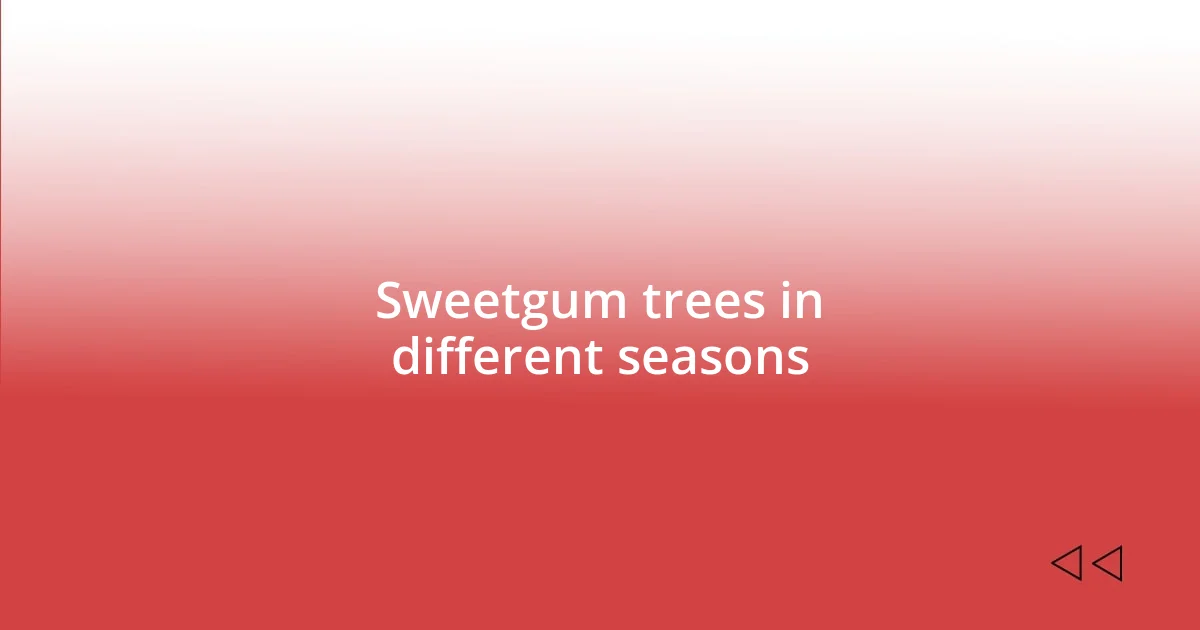 Sweetgum trees in different seasons