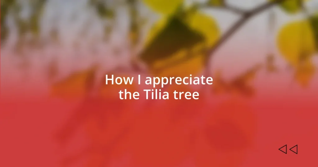 How I appreciate the Tilia tree