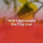 How I appreciate the Tilia tree