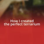 How I created the perfect terrarium