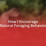 How I Encourage Natural Foraging Behavior