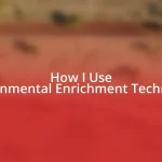 How I Use Environmental Enrichment Techniques