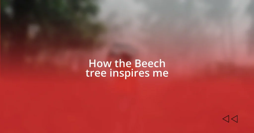 How the Beech tree inspires me