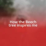 How the Beech tree inspires me