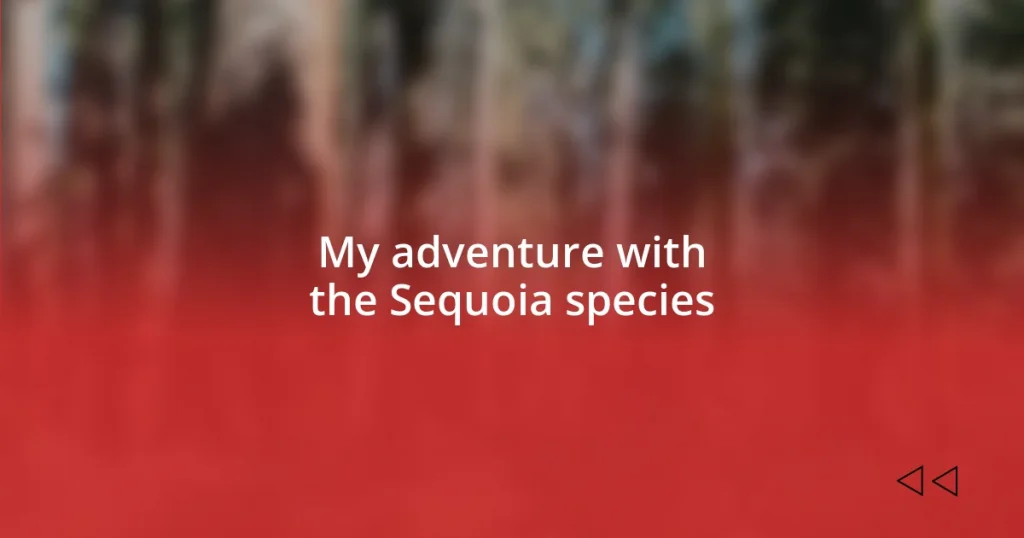 My adventure with the Sequoia species