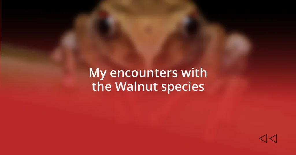 My encounters with the Walnut species