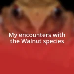 My encounters with the Walnut species