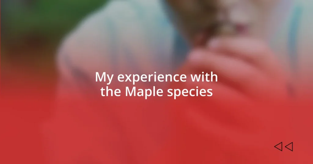 My experience with the Maple species