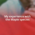 My experience with the Maple species