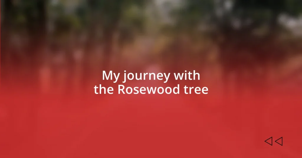 My journey with the Rosewood tree