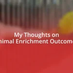 My Thoughts on Animal Enrichment Outcomes