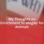 My Thoughts on Enrichment Strategies for Animals