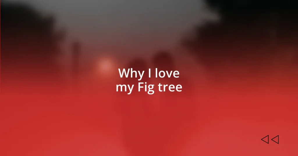 Why I love my Fig tree