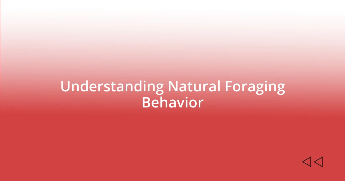 Understanding Natural Foraging Behavior