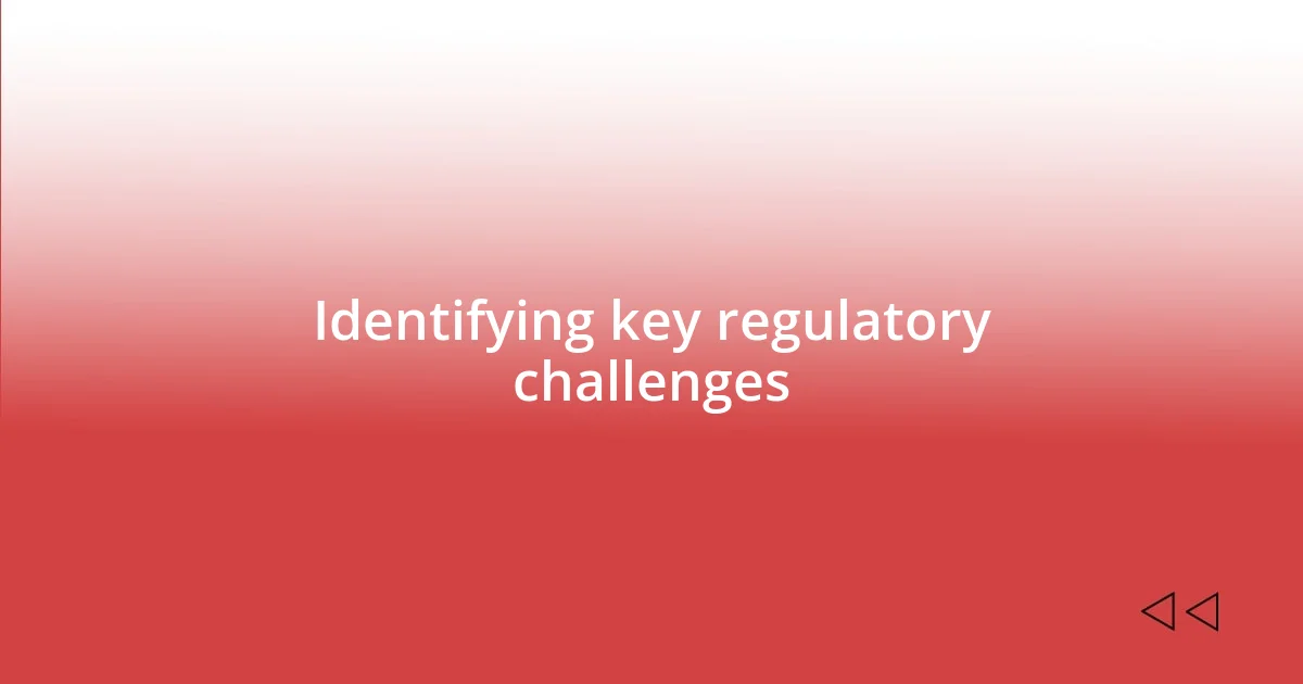 Identifying key regulatory challenges