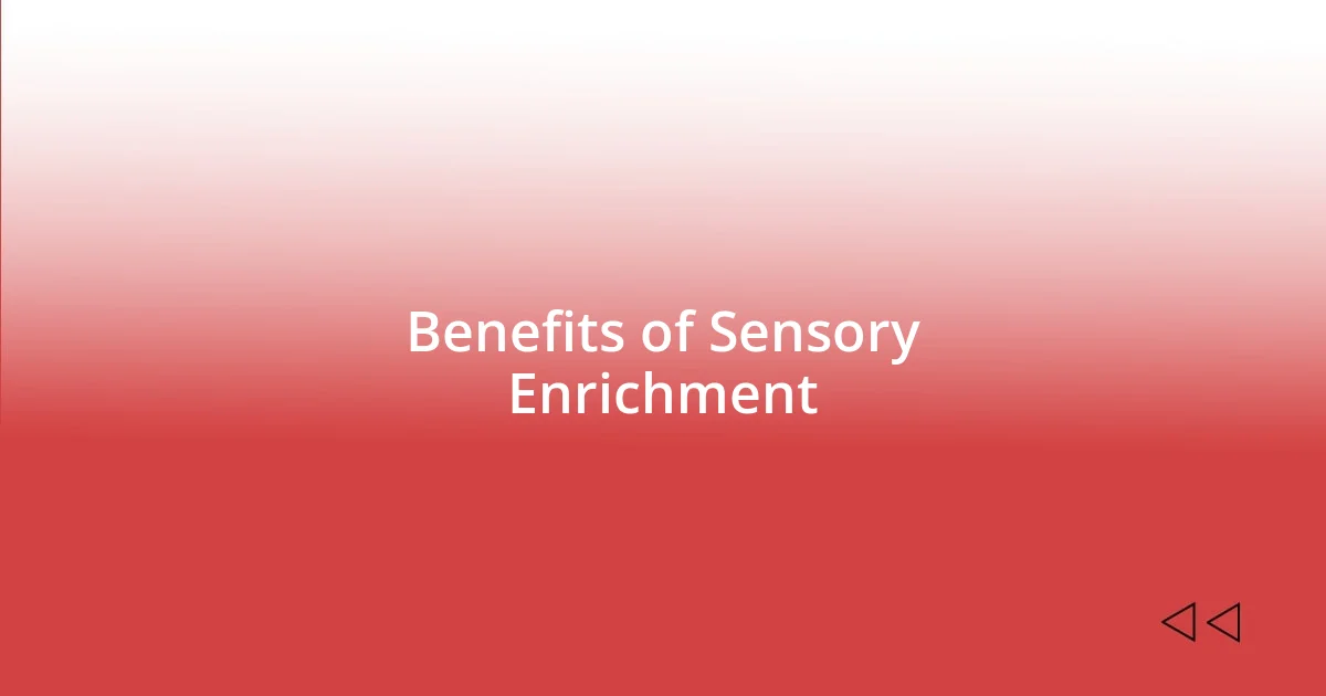 Benefits of Sensory Enrichment