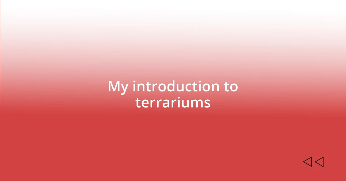 My introduction to terrariums