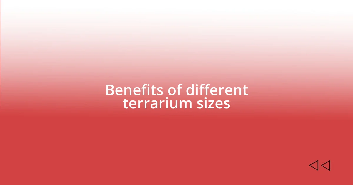 Benefits of different terrarium sizes