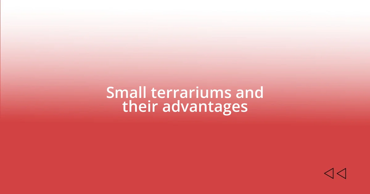 Small terrariums and their advantages