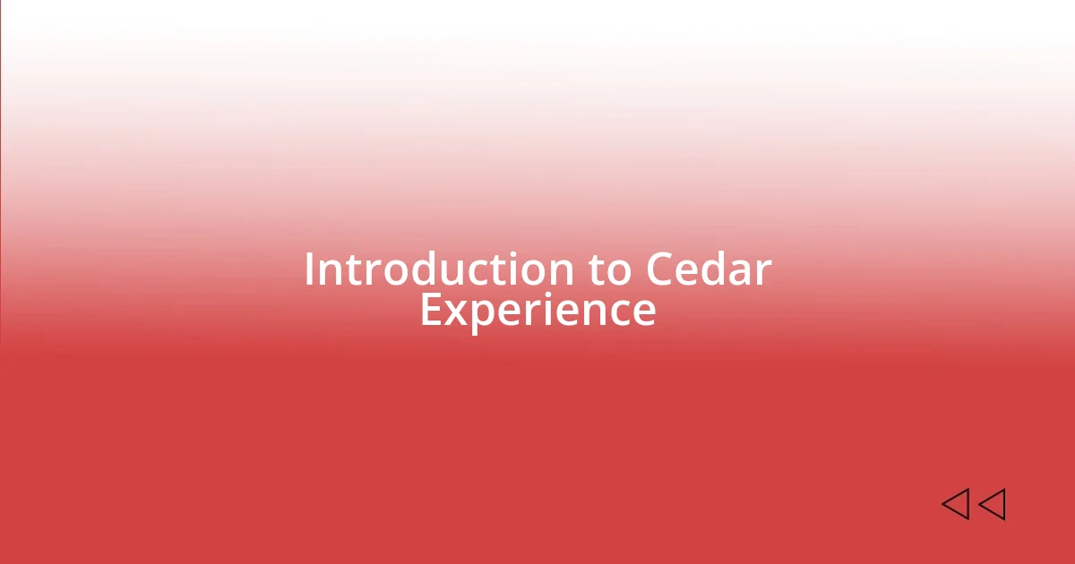 Introduction to Cedar Experience