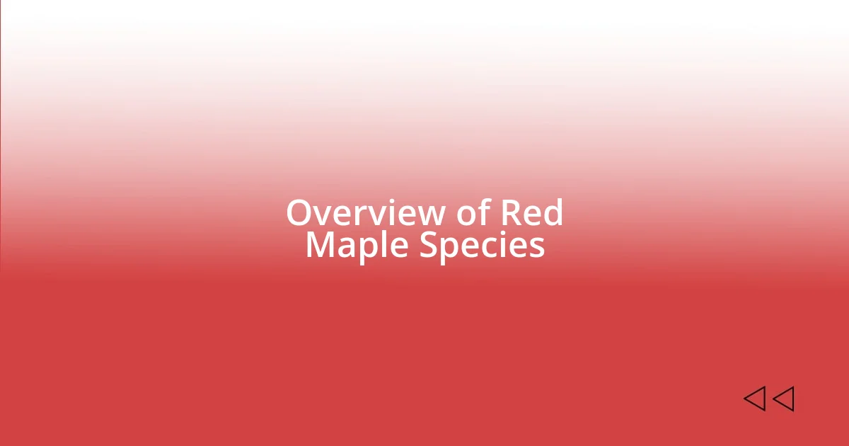 Overview of Red Maple Species