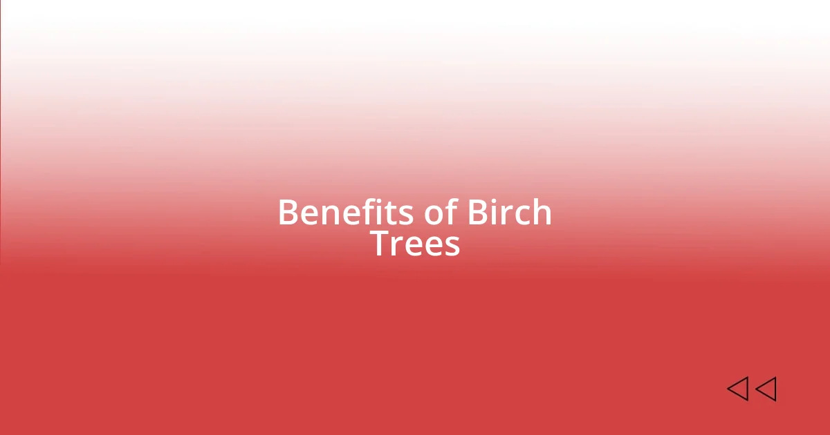 Benefits of Birch Trees