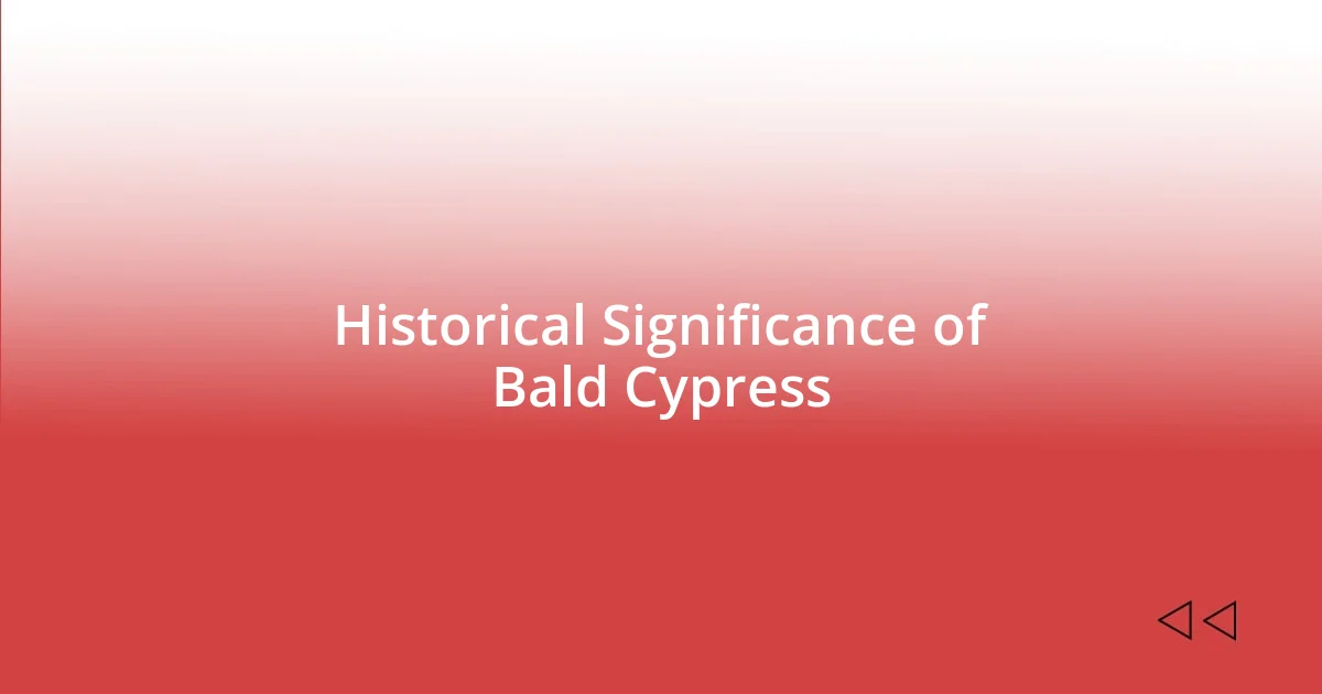 Historical Significance of Bald Cypress